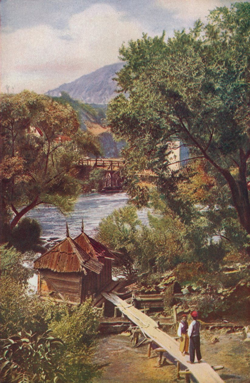 Bosnia ..., c1920 av Unbekannt