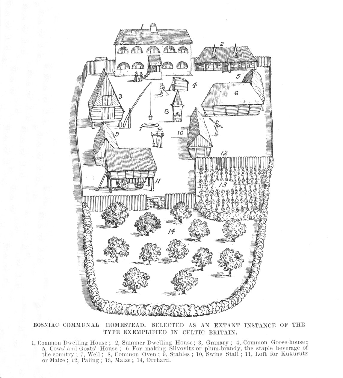 Bosniac Communal Homestead, 1902. av Unbekannt
