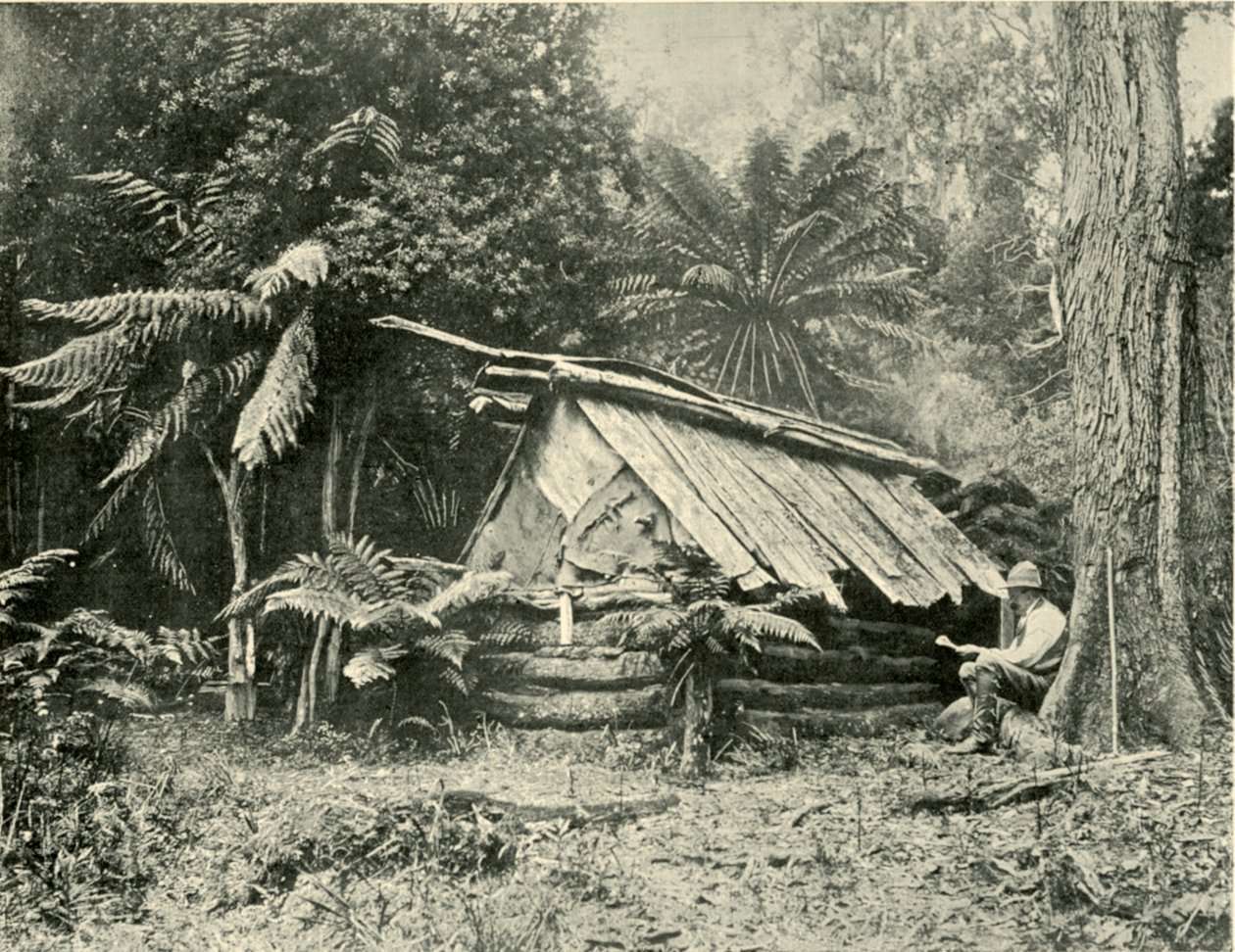 Bush Hut, Dandenong Ranges, Victoria, 1901. av Unbekannt