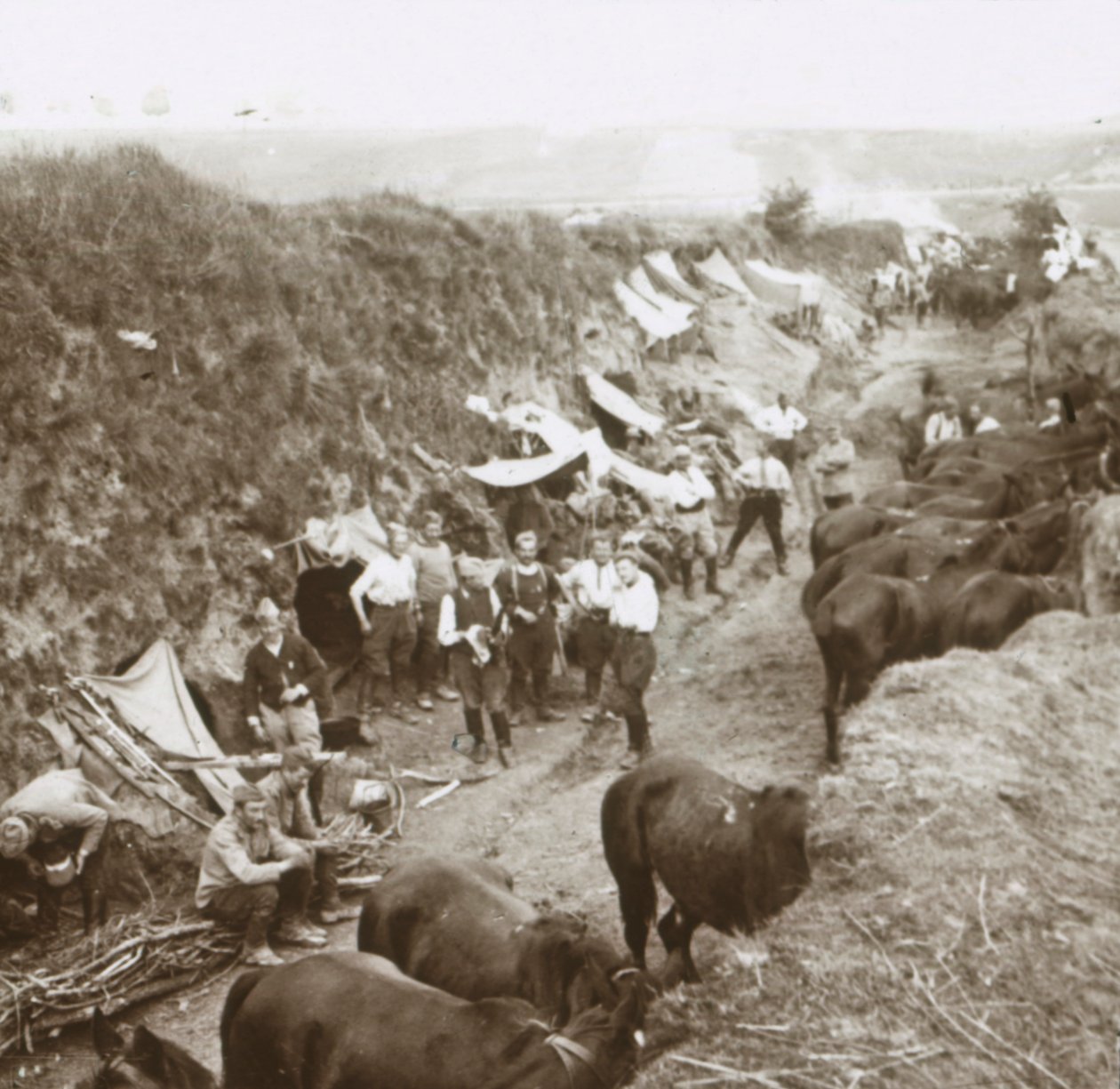 Kavaleri, c1914-c1918 av Unbekannt