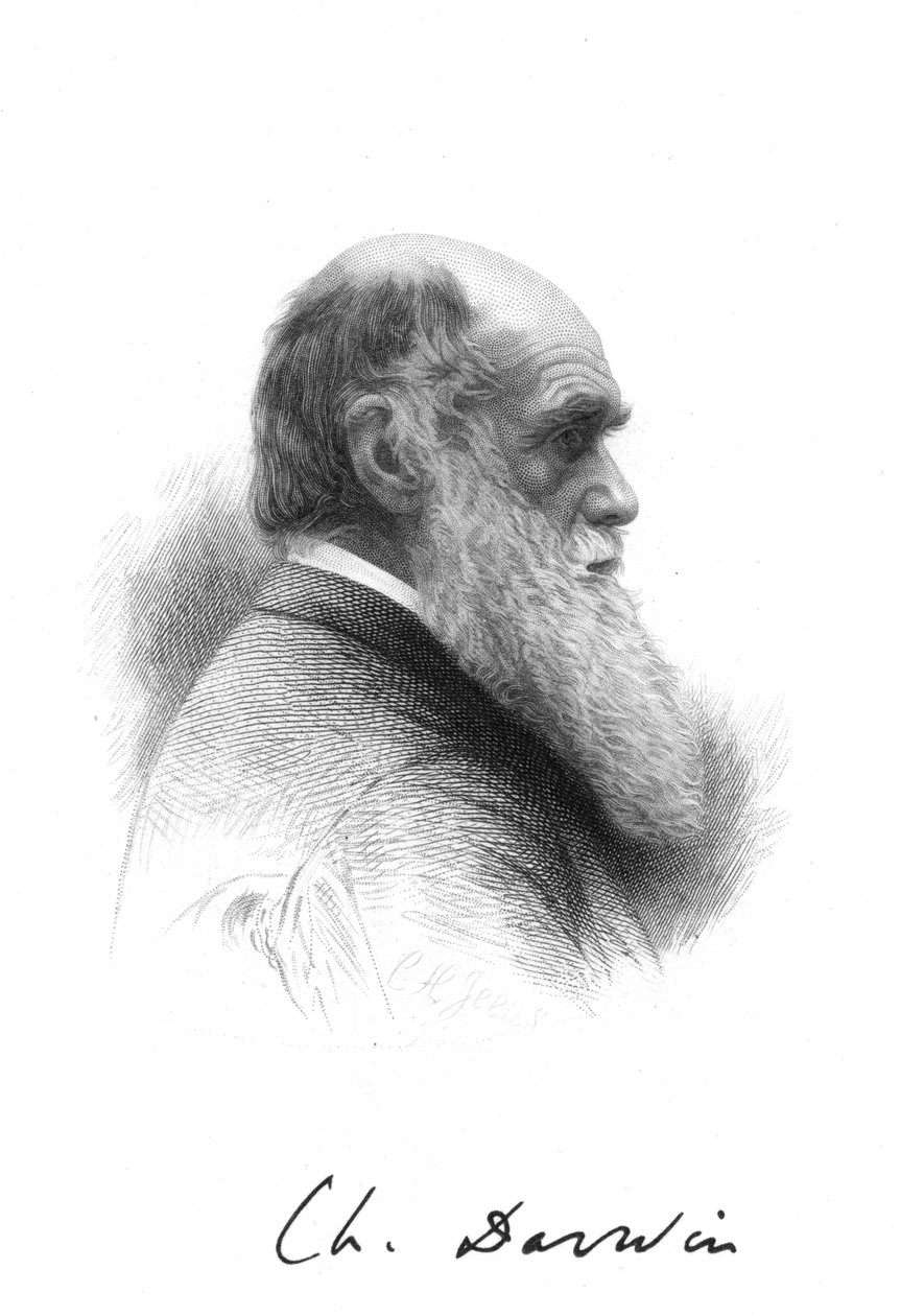 Charles Darwin, engelsk naturforsker, c1880 av Unbekannt