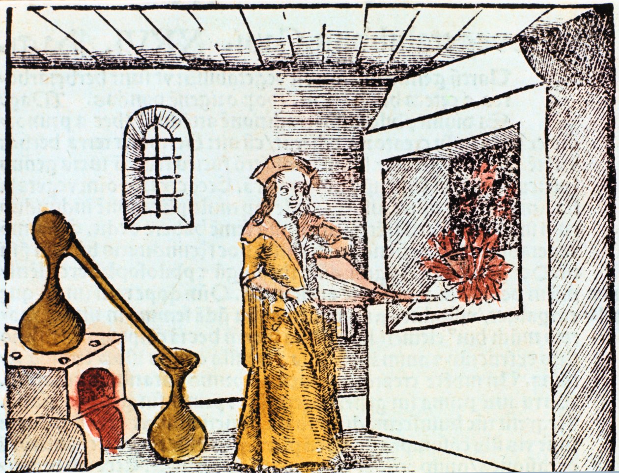 Kjemiker, 1508 av Unbekannt
