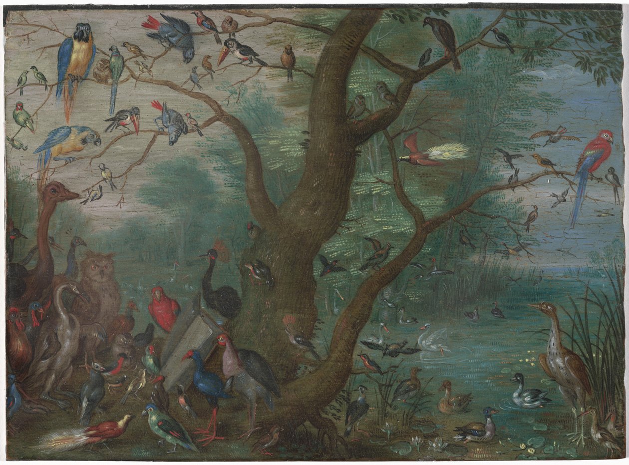 Fuglekonsert, 16601670. av Unbekannt