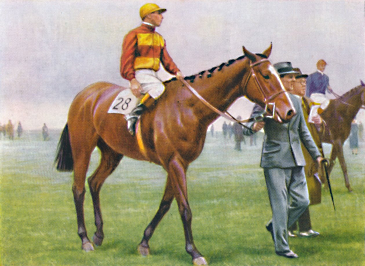 Brace, Jockey: A. Tucker, 1939 av Unbekannt