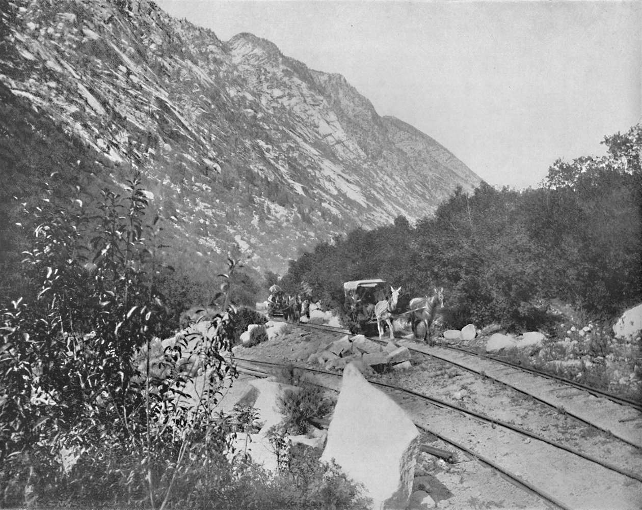 Cottonwood Canon, Utah, c1897. av Unbekannt