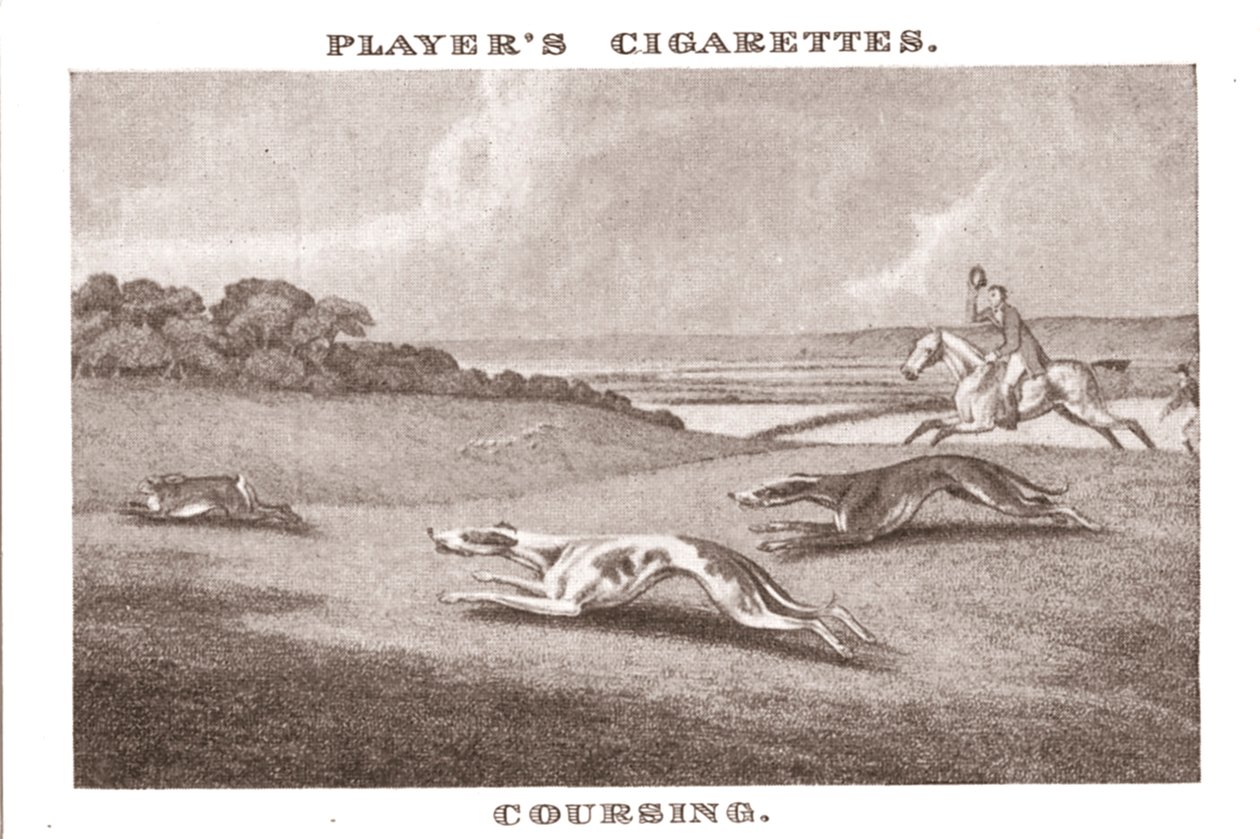 Coursing-11, 1924. av Unbekannt