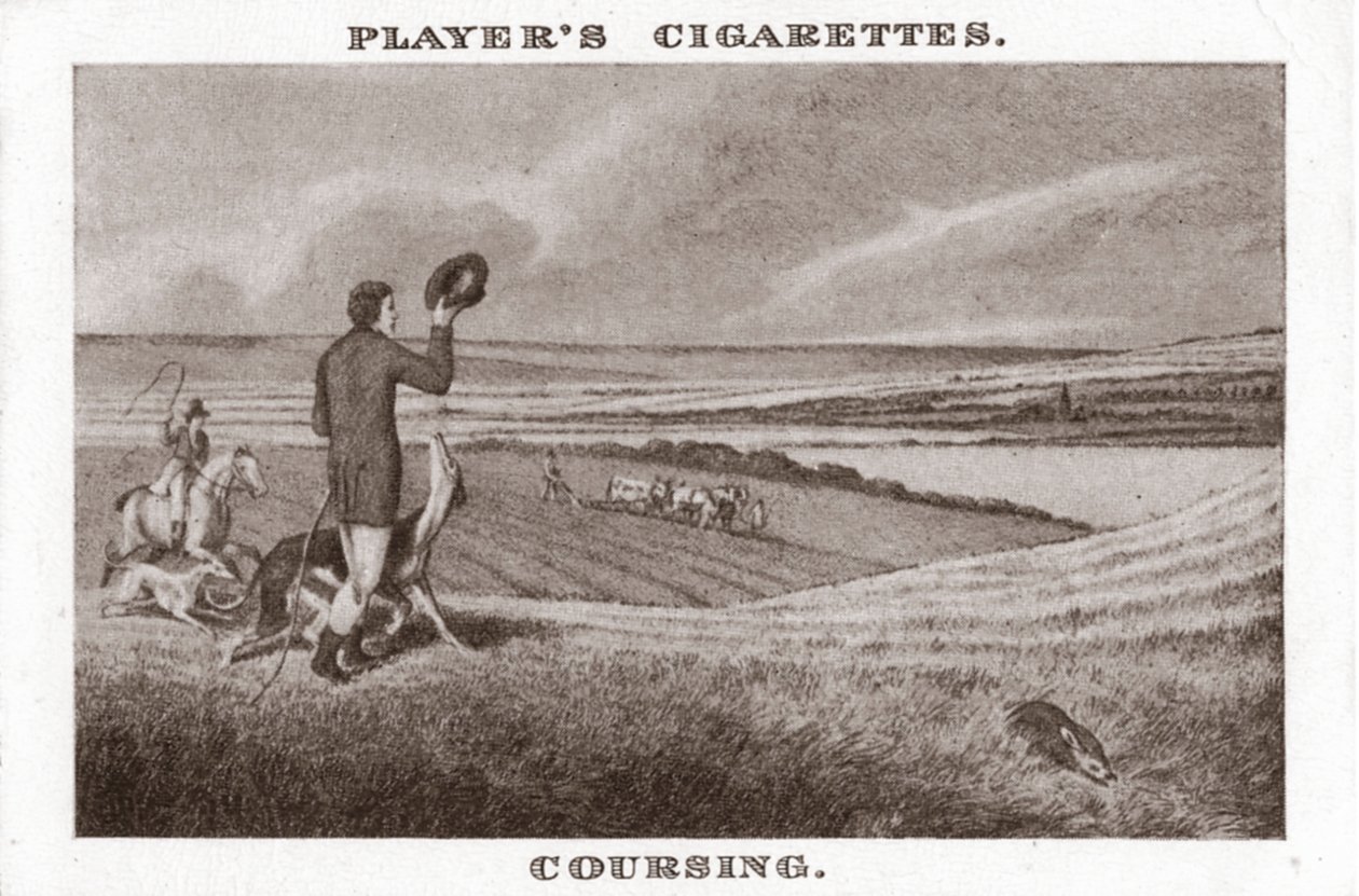 Coursing-1, 1924. av Unbekannt