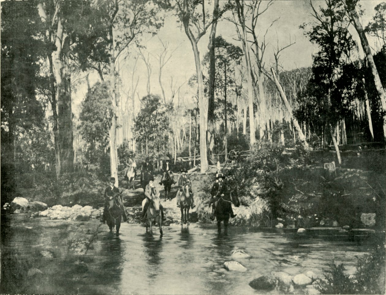 Krysser elven, nær Buffalo Falls, 1901. av Unbekannt