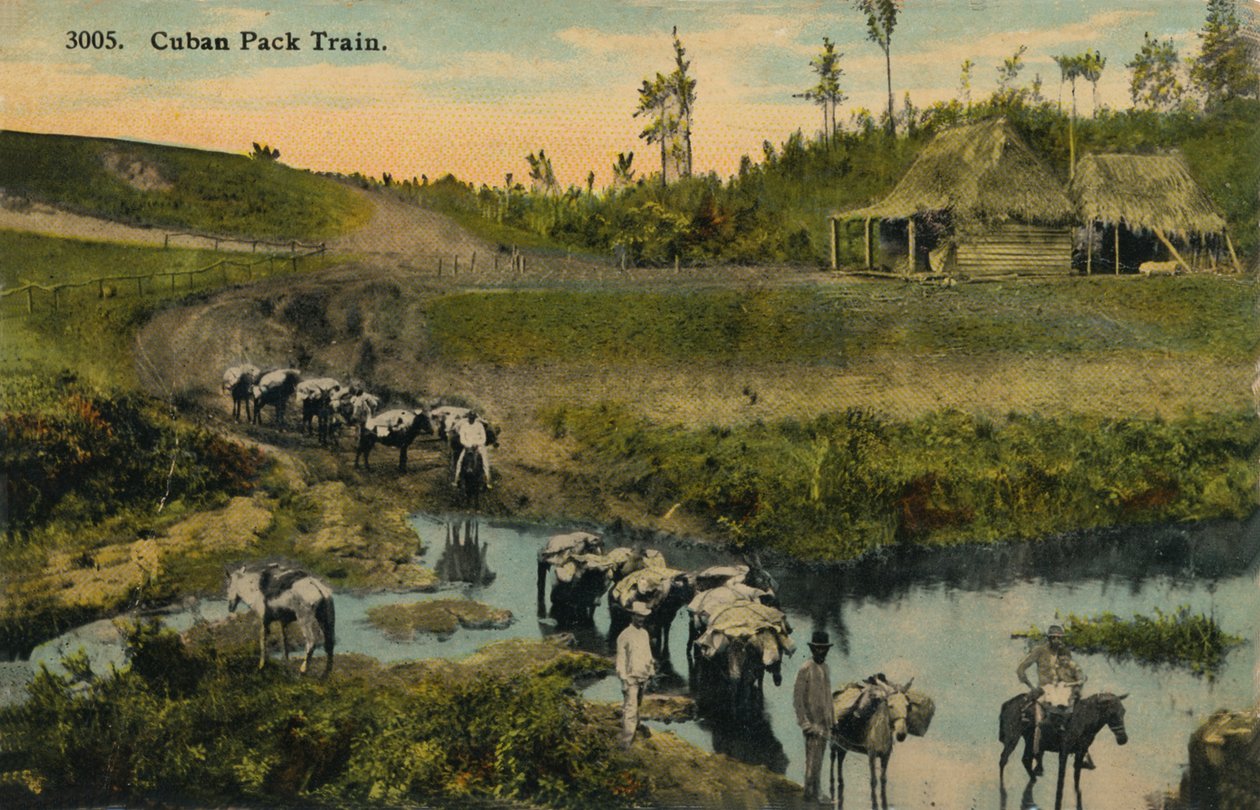 Cuban Pack Train, c1910 av Unbekannt