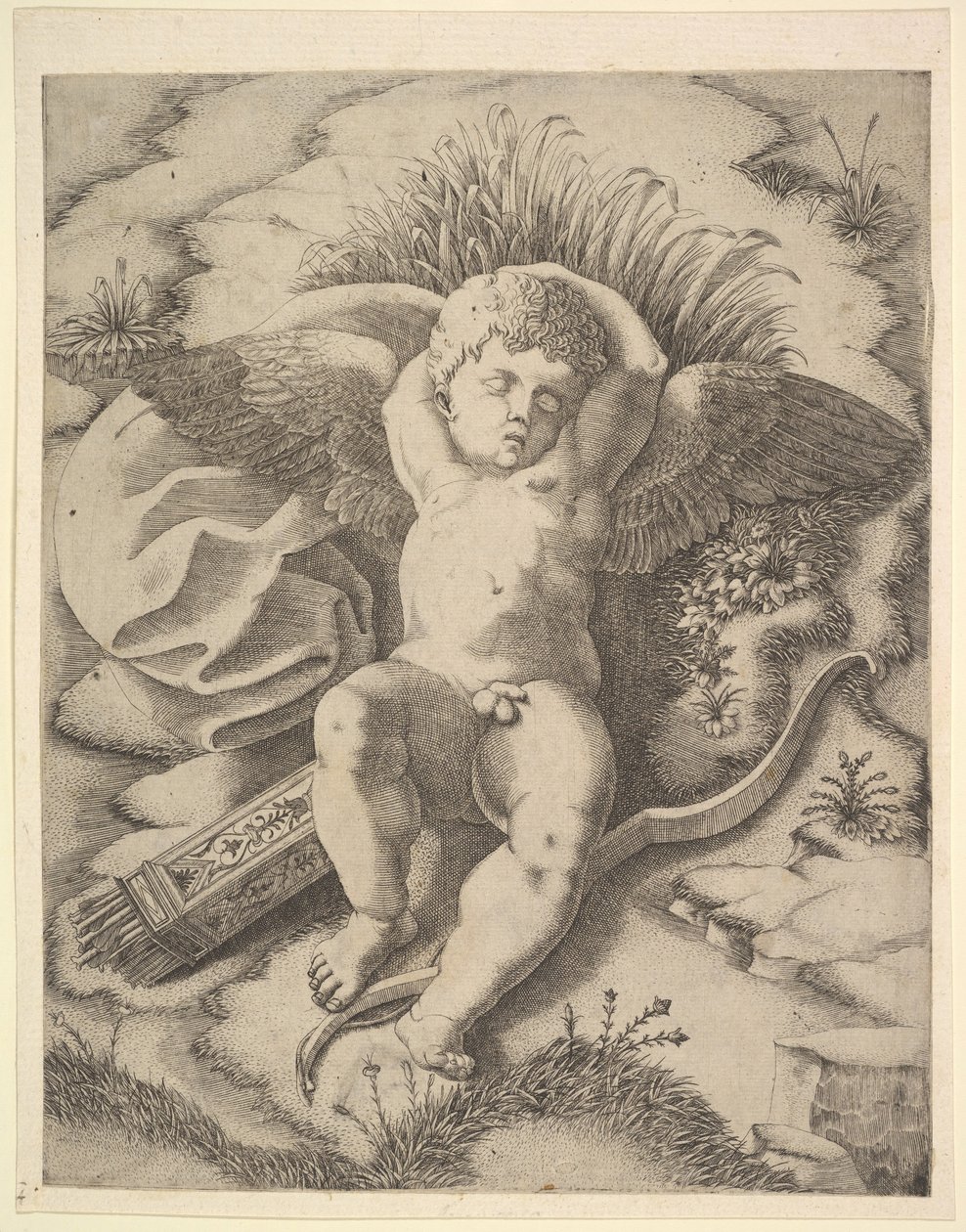 Cupid Sleeping, 1500-tallet. av Unbekannt