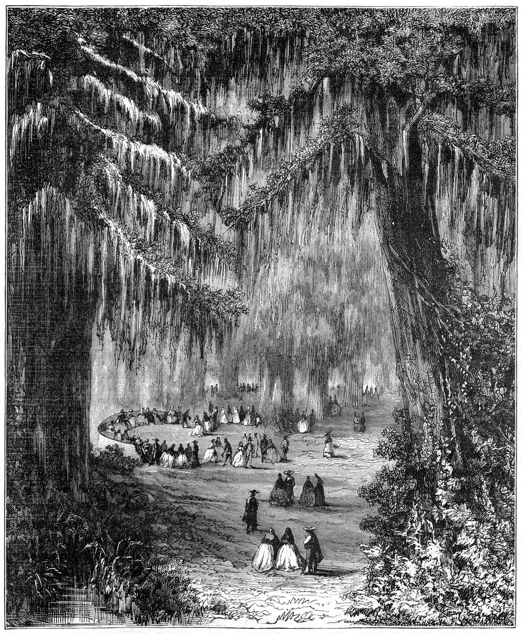Cypress-lund ved Chapultepec, Mexico by, 1877 av Unbekannt