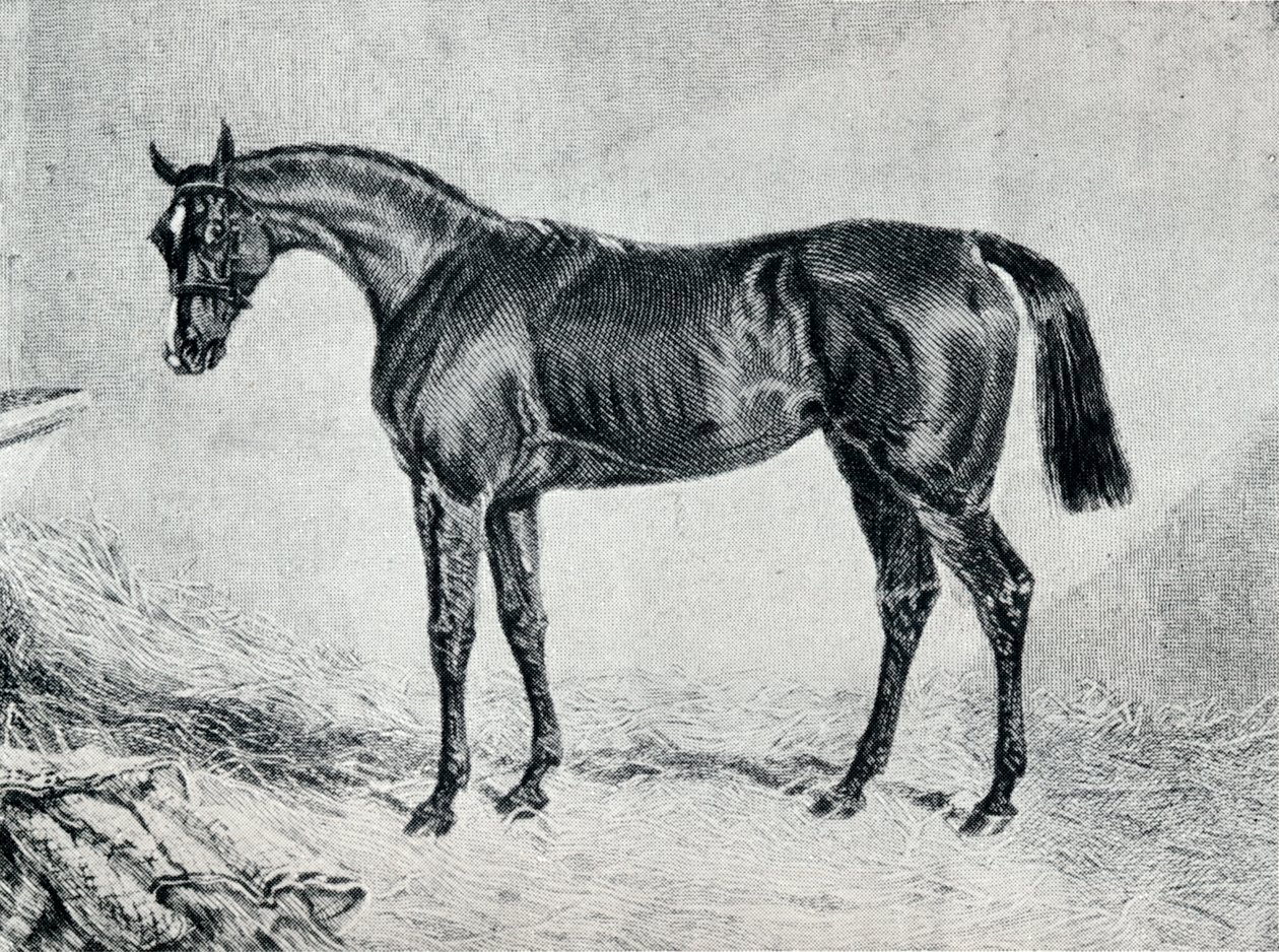 Cyprian, 1800-tallet, 1911 av Unbekannt