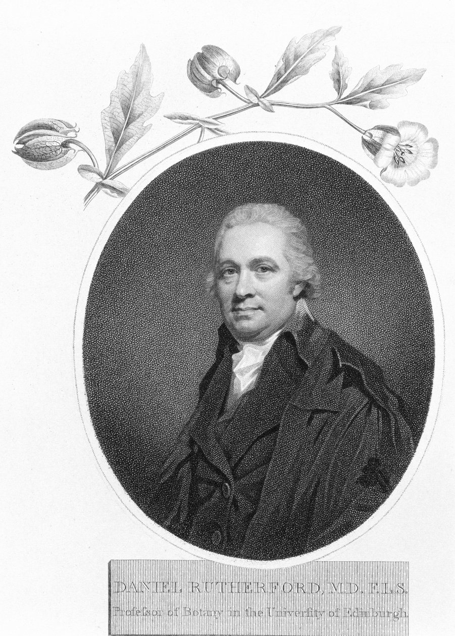 Daniel Rutherford, sent på 1700-tallet av Unbekannt