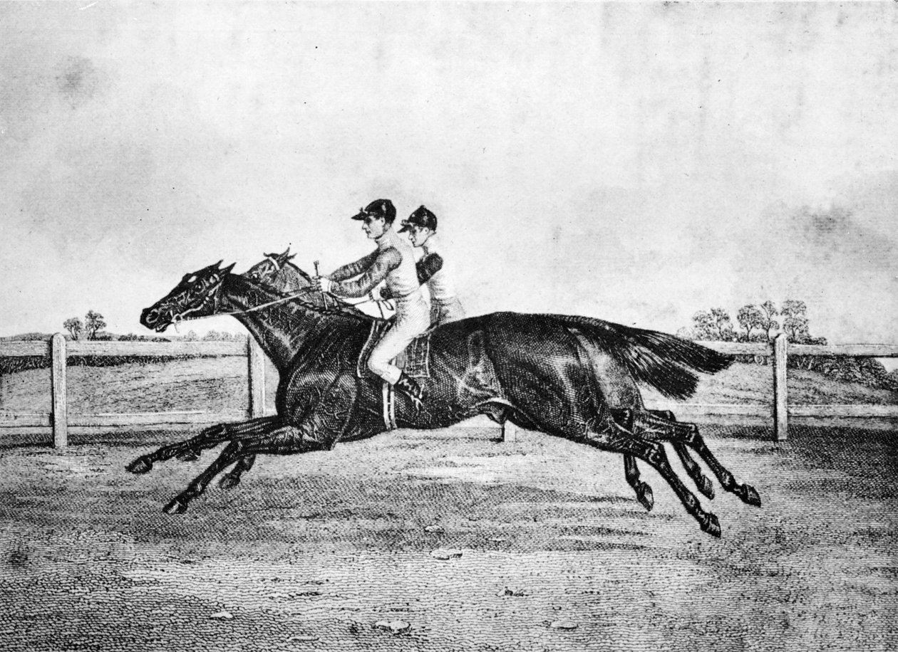 Død varme mellom Lanercost og Beeswing, 1835-1850, 1911 av Unbekannt