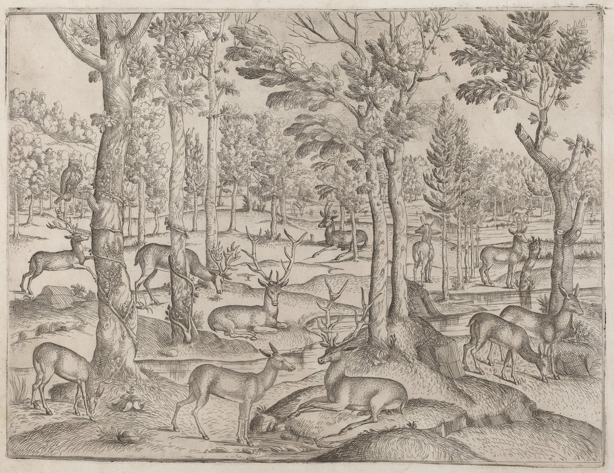 Hjort i skogen, ca. 1520. av Unbekannt