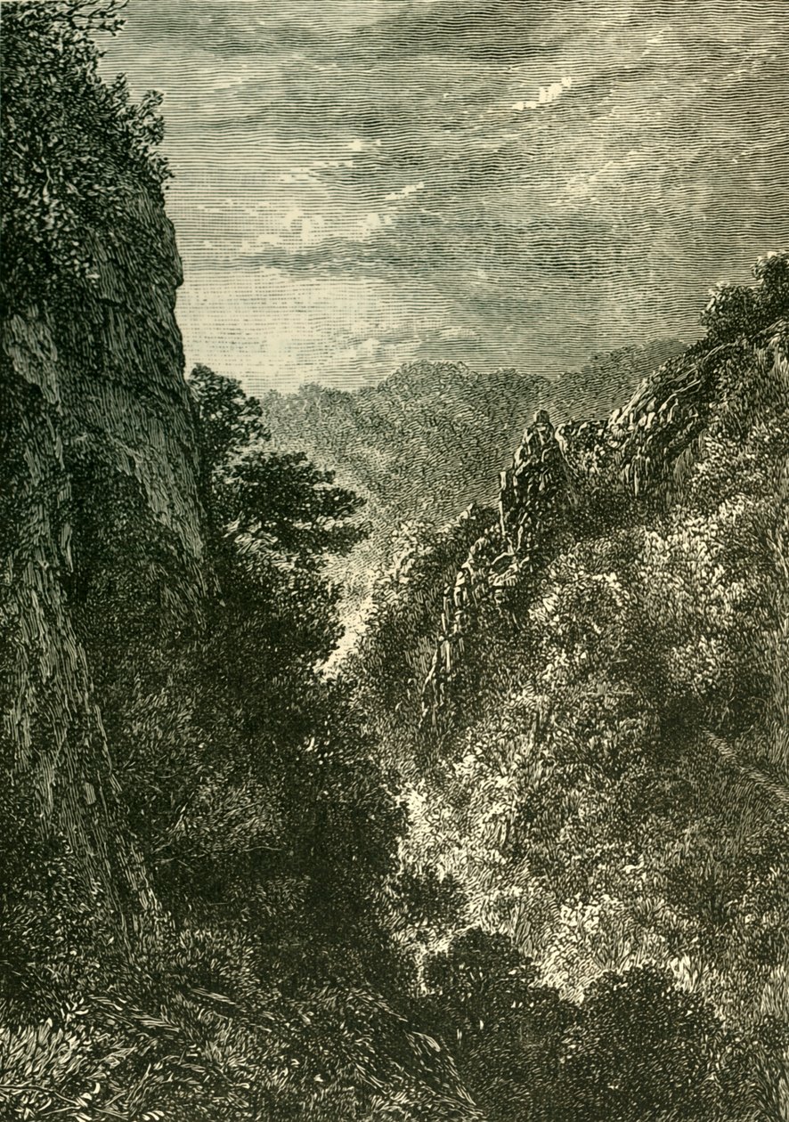 Ebor-juvet, 1898. av Unbekannt