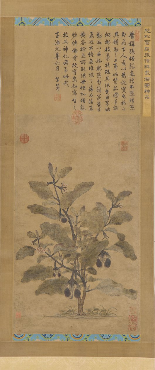 Aubergine, Ming-dynastiet, 1368-1644. av Unbekannt