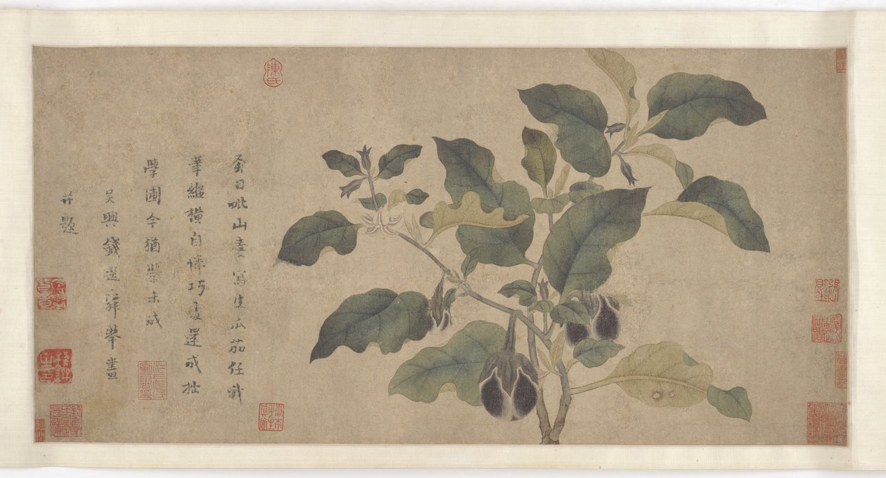 Aubergine, Yuan eller Ming-dynastiet, 1300-tallet. av Unbekannt