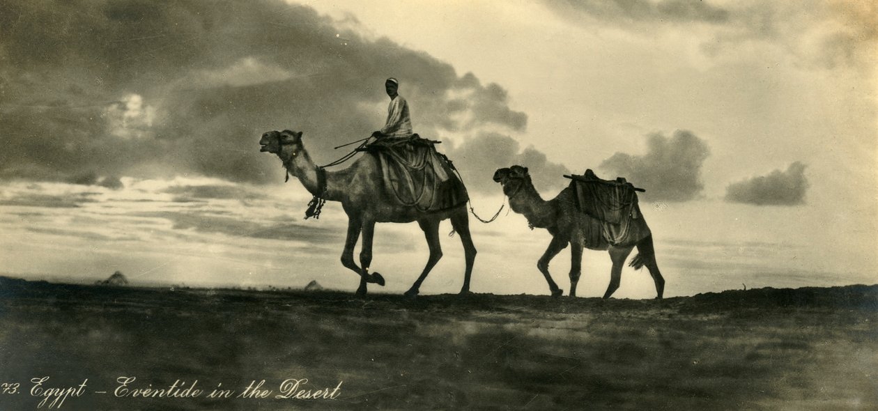 Egypt - Eventide i ørkenen, c1918-c1939. av Unbekannt