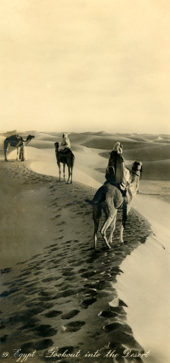 Egypt - Lookout into the Desert, c1918-c1939. av Unbekannt