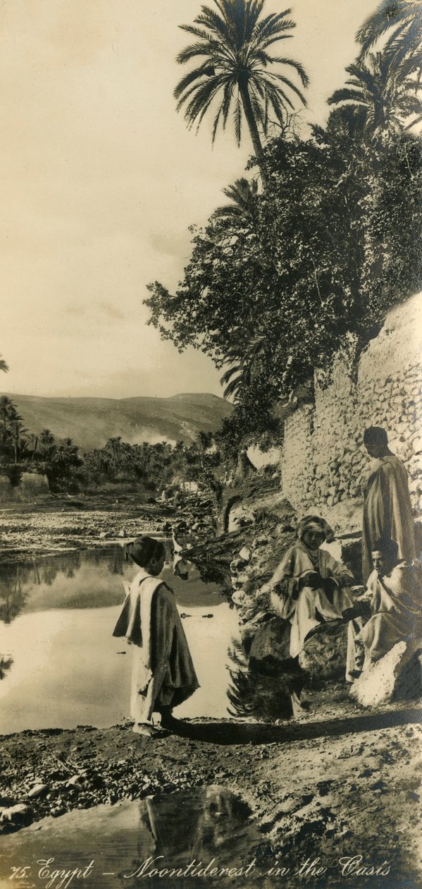 Egypt - Noontiderest in the Oasis, c1918-c1939. av Unbekannt