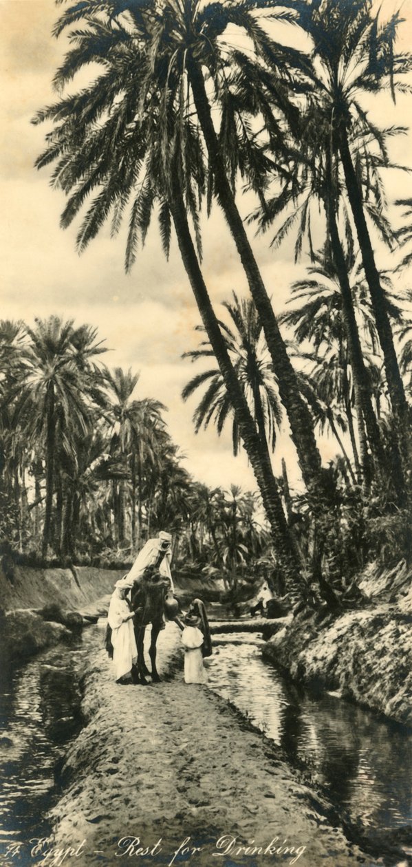 Egypt - Hvil for å drikke, c1918-c1939. av Unbekannt