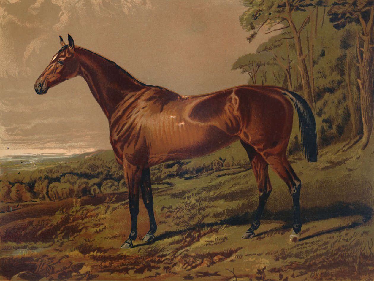 Fair Nell, c1879. av Unbekannt