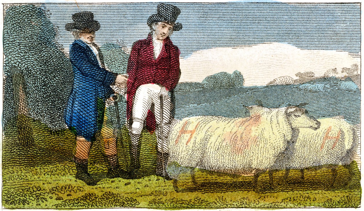 Bønder diskuterer Dishley New Leicester sauer, 1822 av Unbekannt