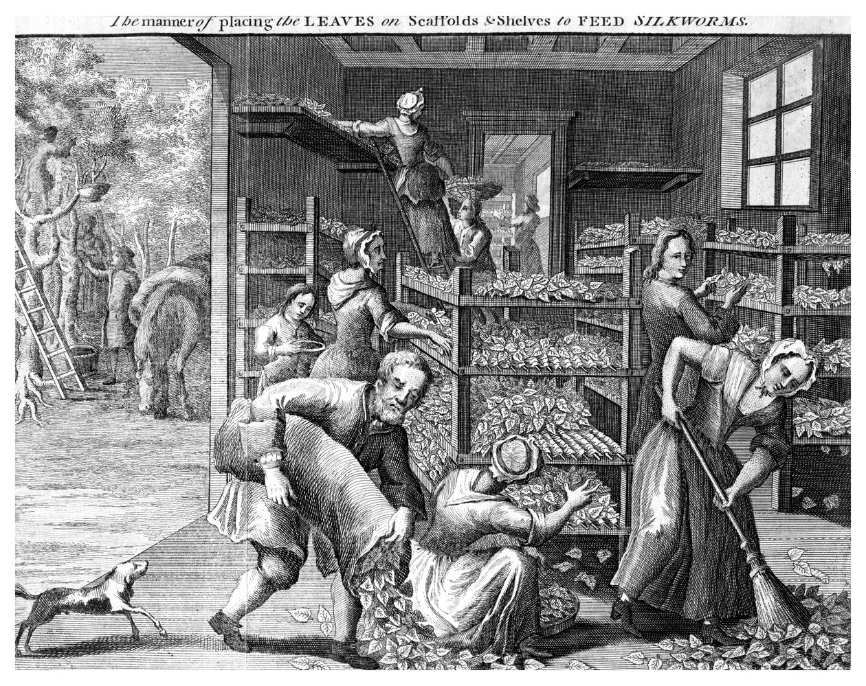 Fôring av silkeorm, 1700-tallet av Unbekannt