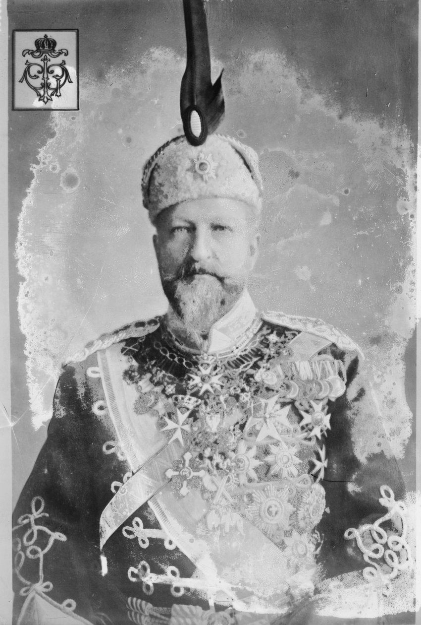 Ferdinand I av Bulgaria av Unbekannt