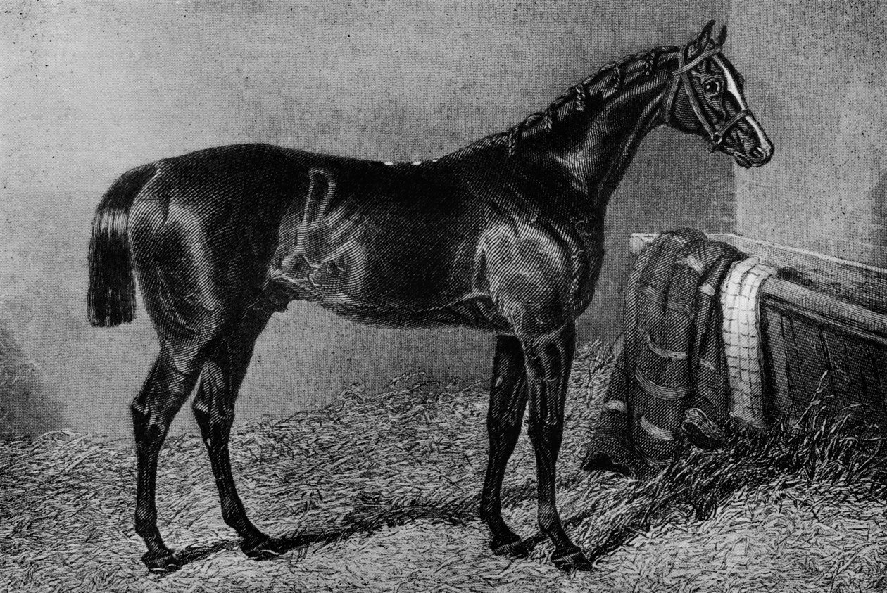 Sønn av en hore, 1812-1835, 1911 av Unbekannt