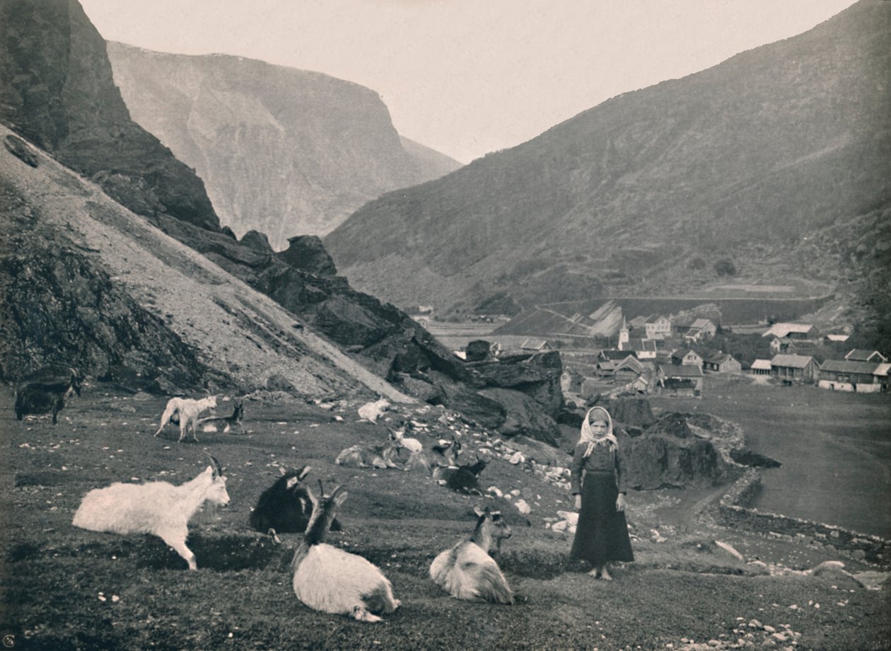 Flaam, 1914. av Unbekannt