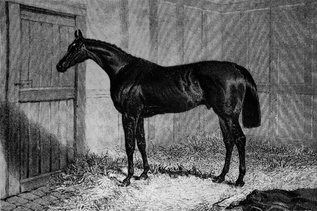 Foig-A-Ballagh, c1841-1860, 1911 av Unbekannt