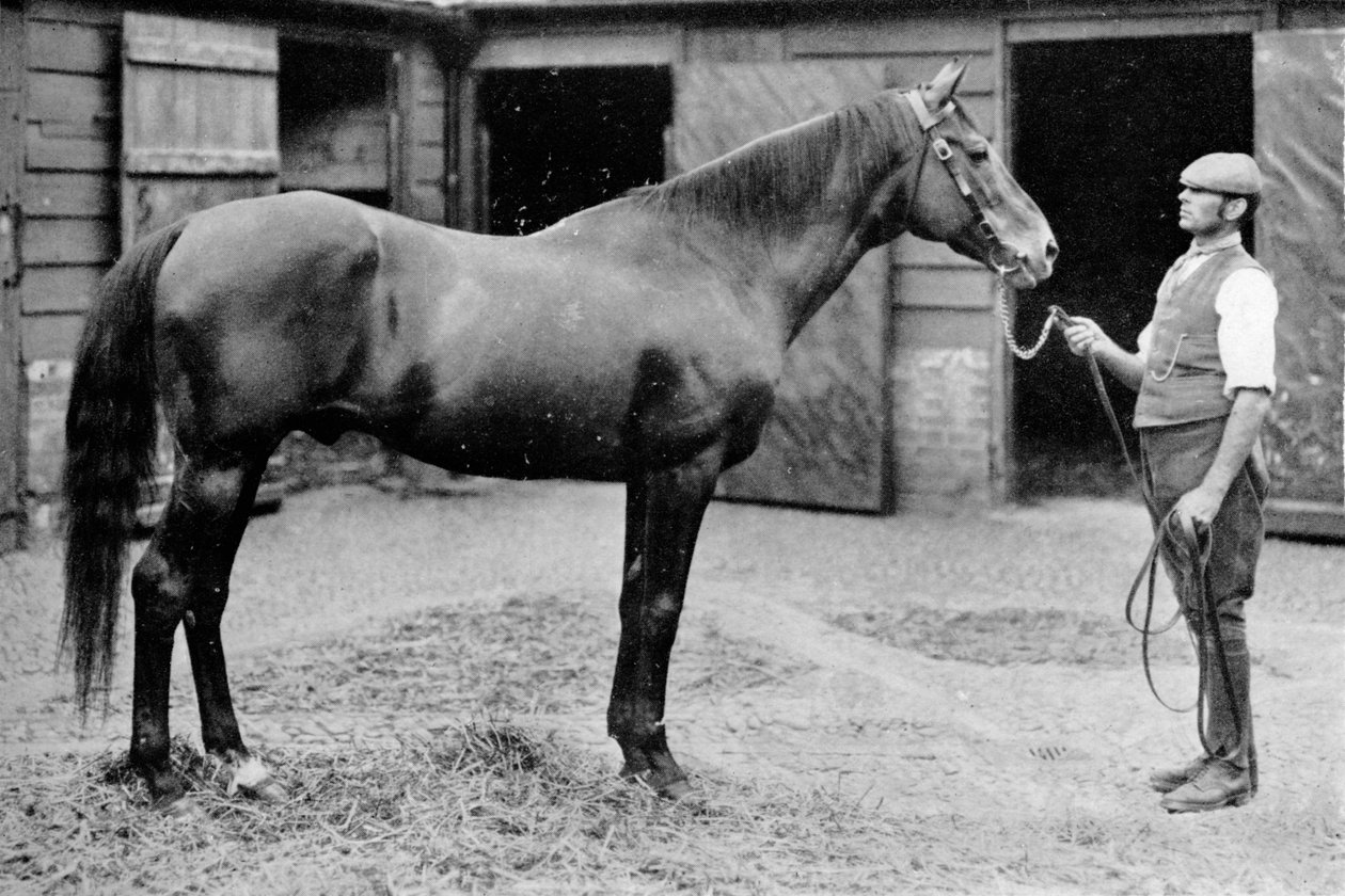 Foxhall, 1880-1904, 1911 av Unbekannt