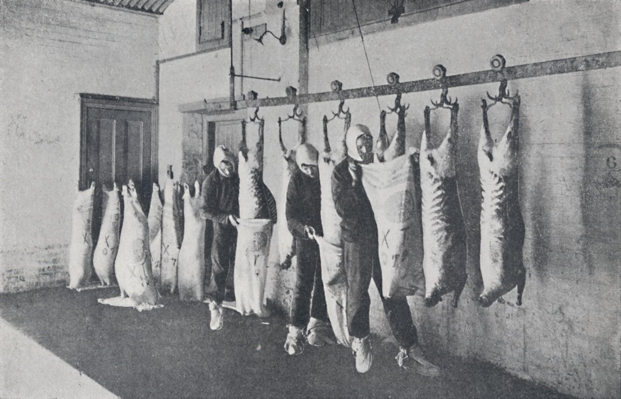 Frosset kjøtt, 1923. av Unbekannt