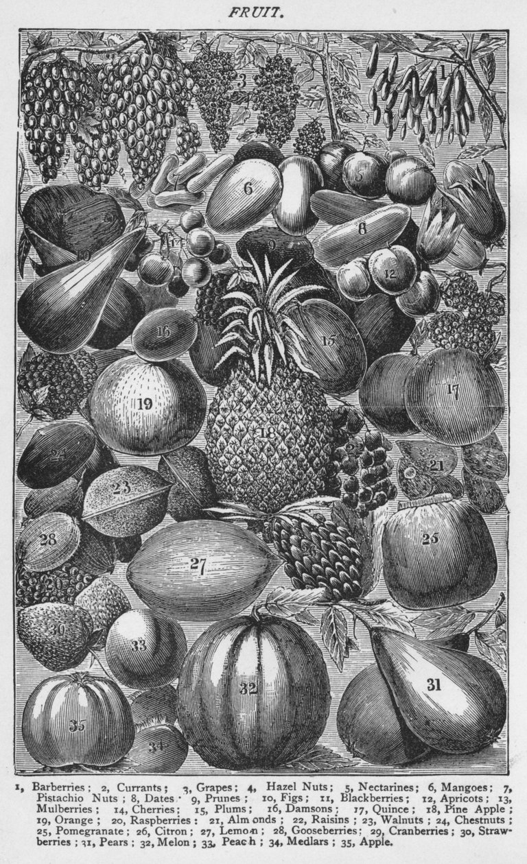 Frukt, 1907, 1907 av Unbekannt