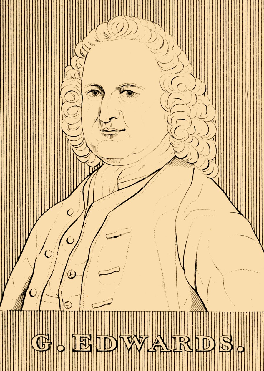 G. Edwards, 1694-1773, 1830. av Unbekannt