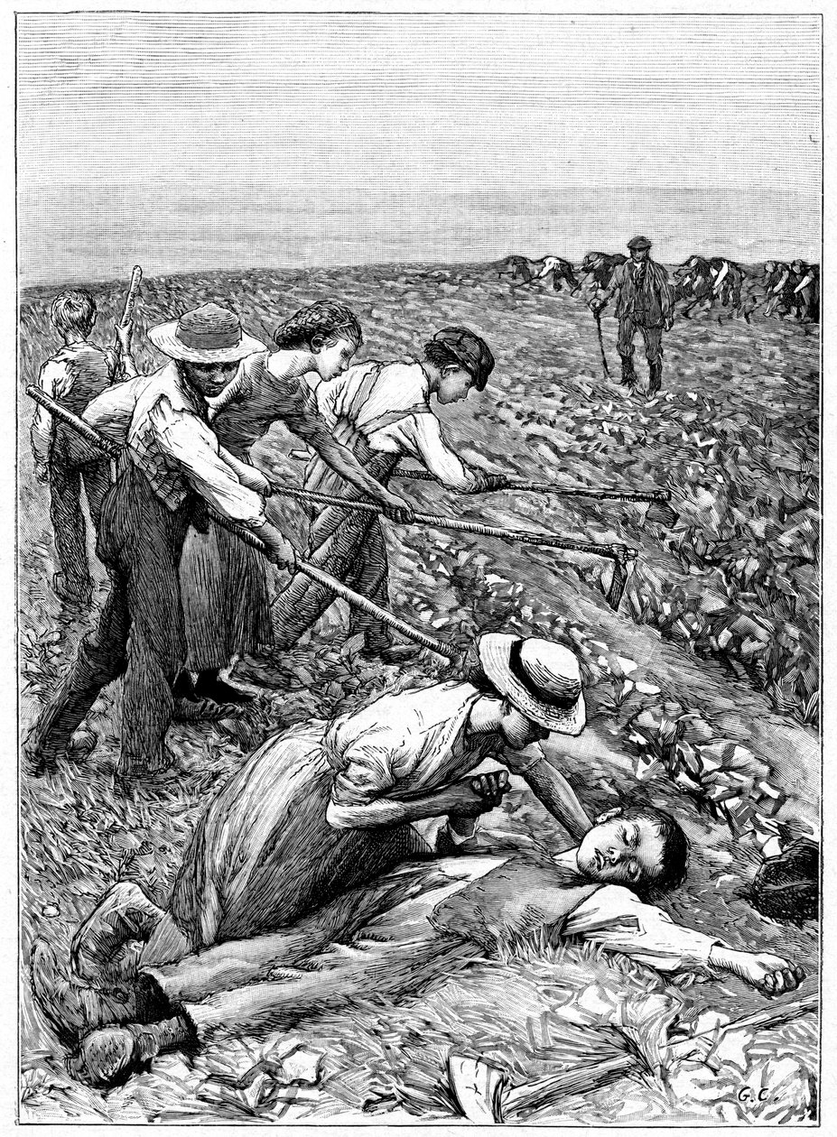 Gjengesystem for barnearbeid, c1885 av Unbekannt