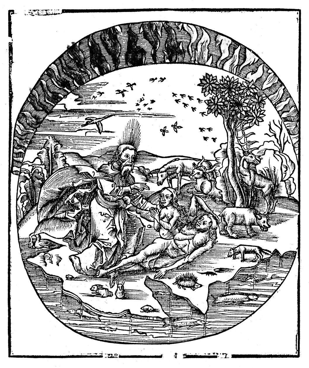 Gud skapte Eva fra Adams ribbein, 1508 av Unbekannt