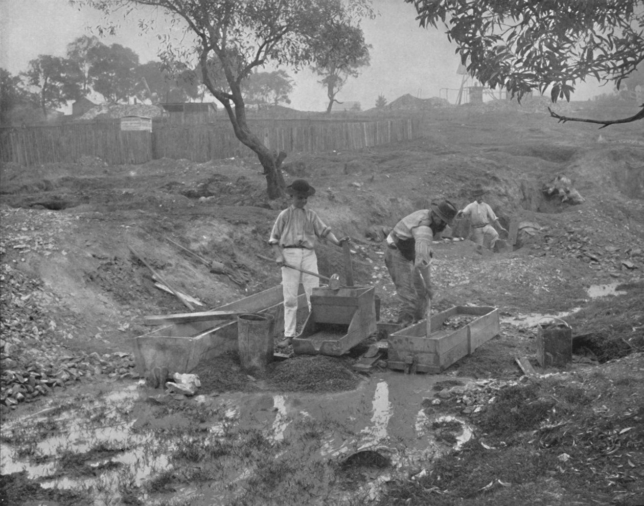 Gullgraving i Australia, 1800-tallet av Unbekannt