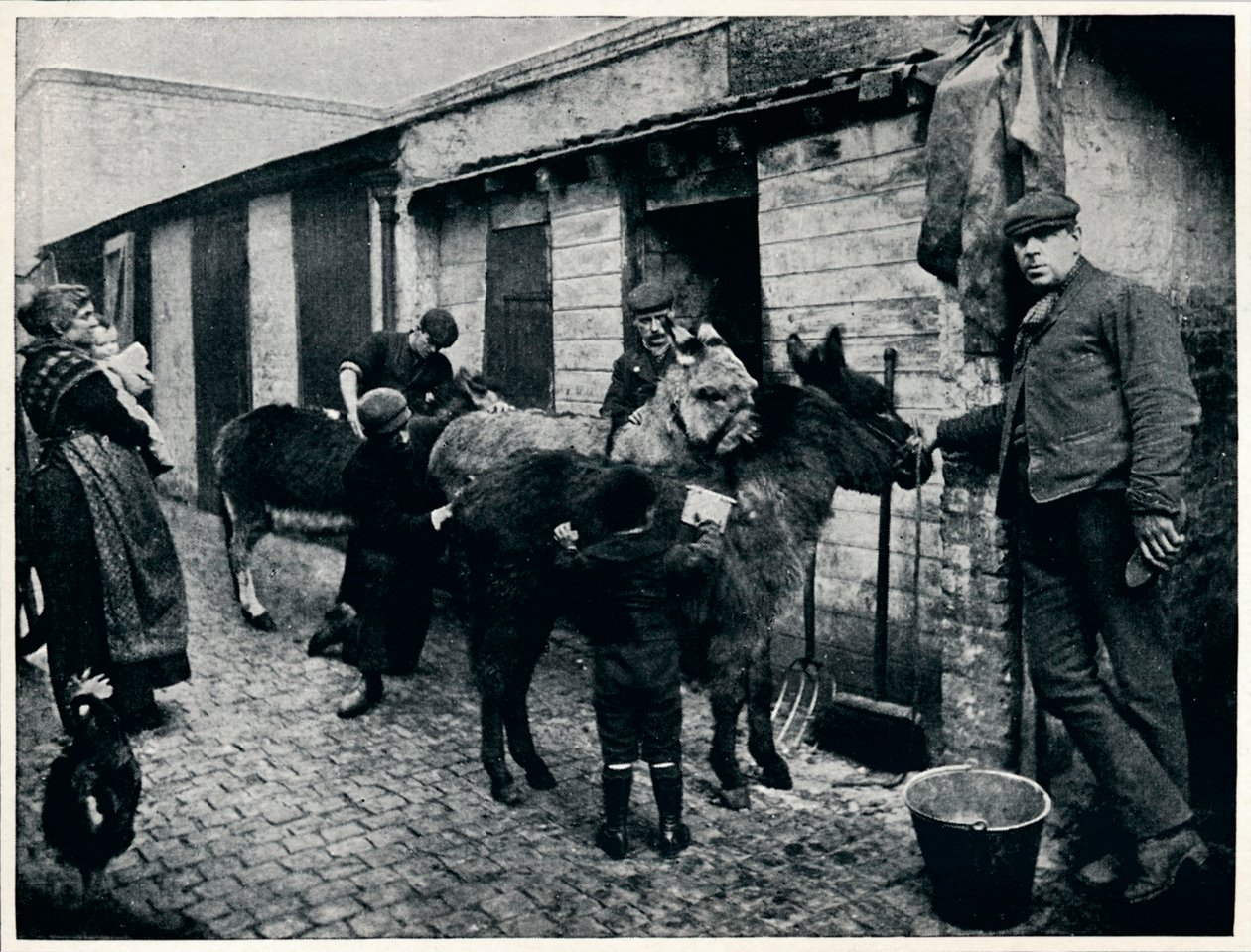 Grooming costers esler, London, c1903 1903 av Unbekannt