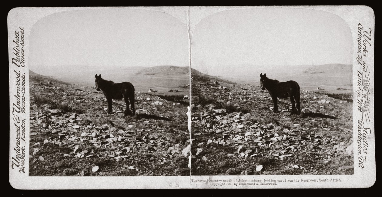 Boer War (Sør-Afrika av Unbekannt