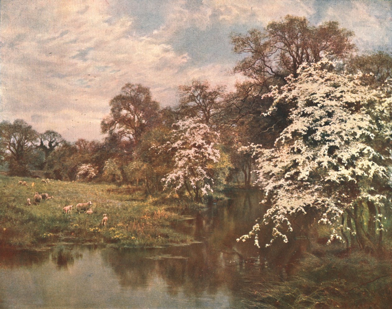 Hawthorn Blossoms, c1899, c1902. av Unbekannt