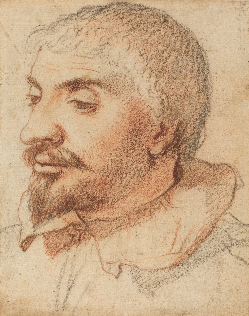 Head of a Man, ca. 1600. av Unbekannt