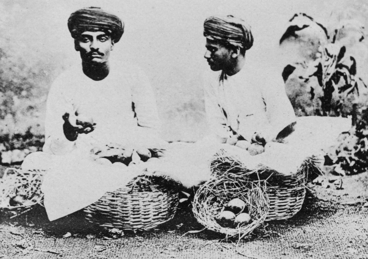 Hindufruktselgere, India, 1900-tallet av Unbekannt