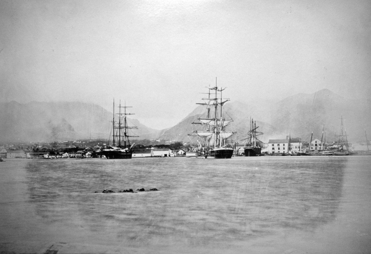 Honolulu, Hawaii, 1885-1890 av Unbekannt