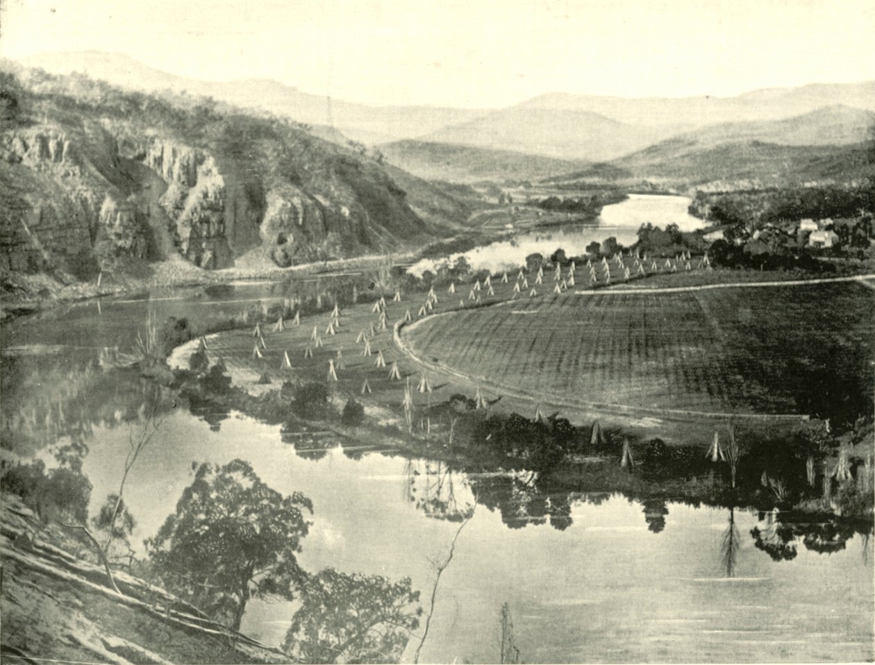Hop Gardens i Tasmania, 1901. av Unbekannt