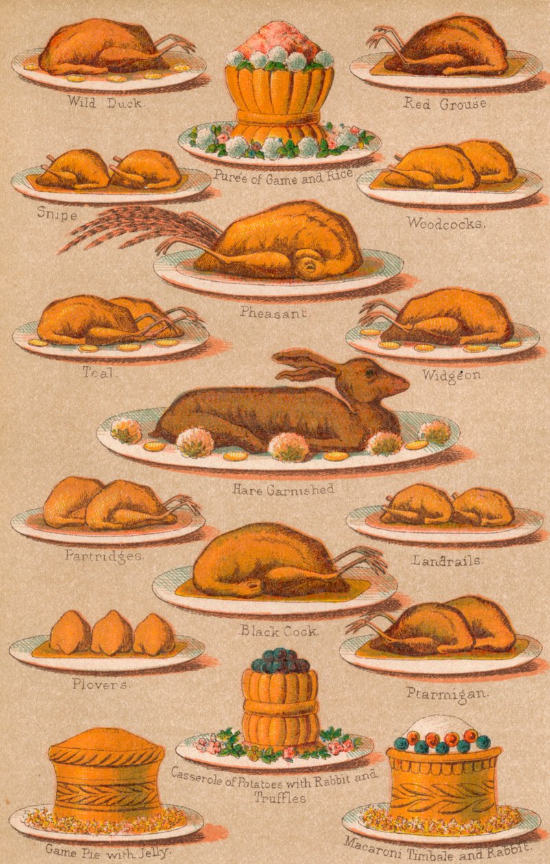 Husholdningsforvaltning - Plate VIII, 1907, 1907 av Unbekannt