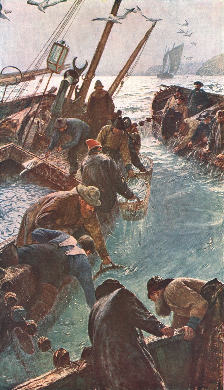 How We Catch the Pilchards, 1895, c1902. av Unbekannt