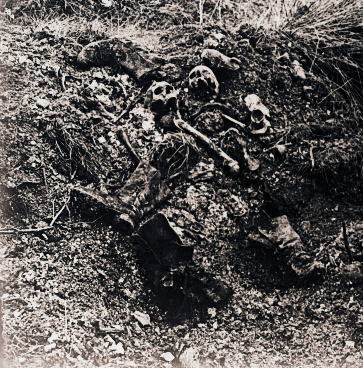 Menneskelige levninger, c1914-c1918 av Unbekannt